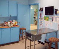 Exam room at Mavis Road Animal Hospital