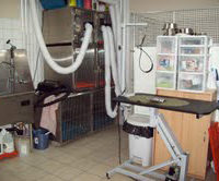 Grooming area at Mavis Road Animal Hospital