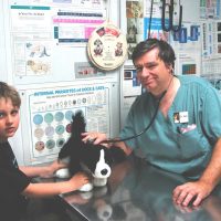 doctor and little boy listening to the heartbeat of the stuffed dog