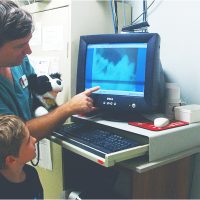 doctor and little boy looking at a x-rays image