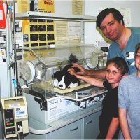 Doctor and two little boys checking up on a stuffed dog