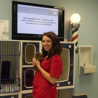 staff holding kitten in front of adoption area