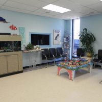 Reception area at Mavis Road animal hospital