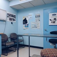 exam room at Mavis Road animal clinic Mississauga