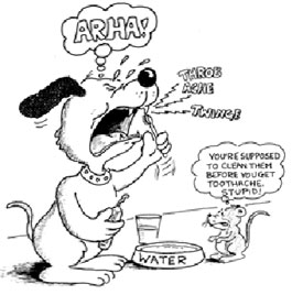 cartoon about a dog having a painful dental experience