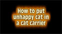 image of How to put unhappy cat in a cat carrier