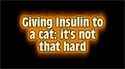 image of Giving Insulin to a cat: it's not that hard