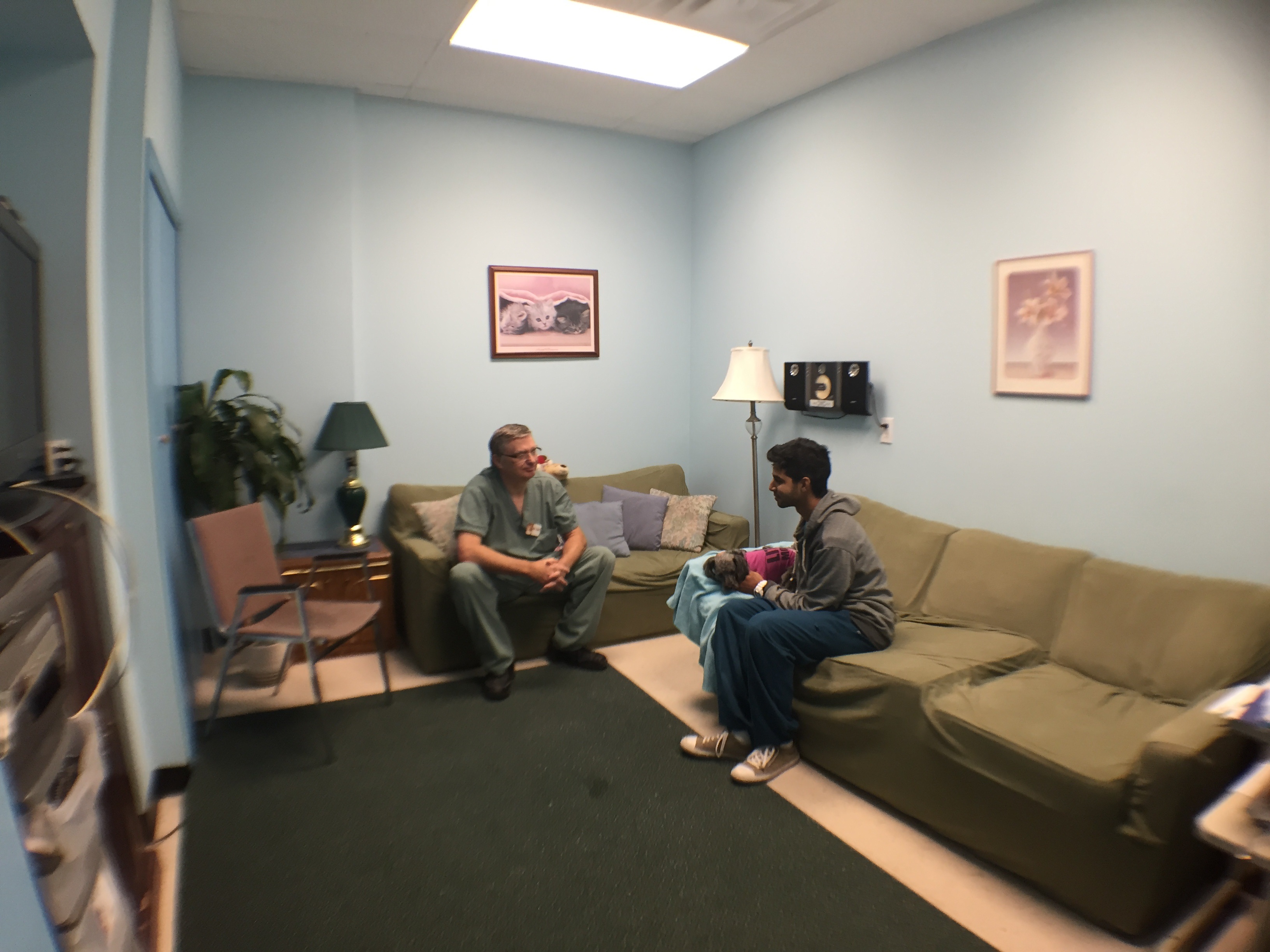 a dog patient and owner are sitting in comfort room with a doctor