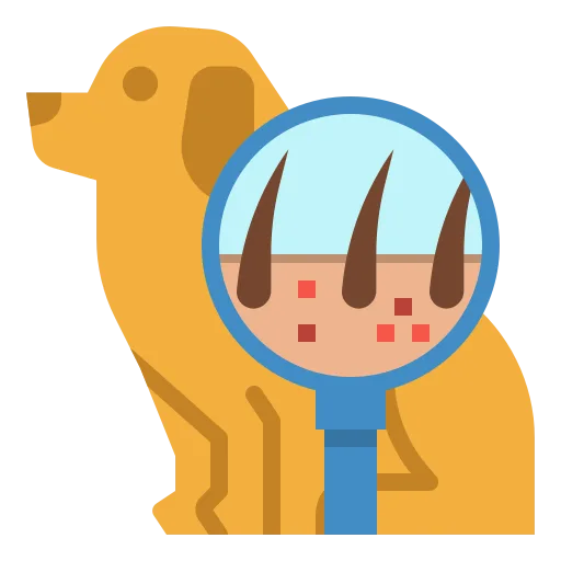 Dermatology Consultation - Mavis Road Animal Clinic