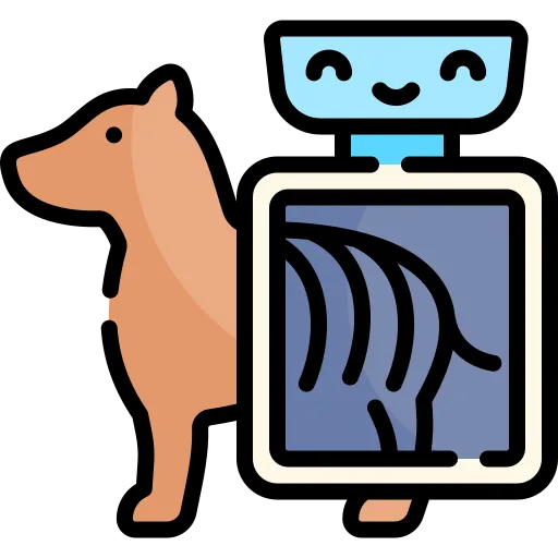 X Ray 2 - Mavis Road Animal Clinic