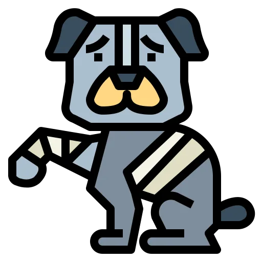 Services - Pet Pain Management - Mavis Road Animal Clinic